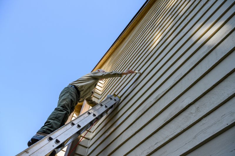 Siding Painting